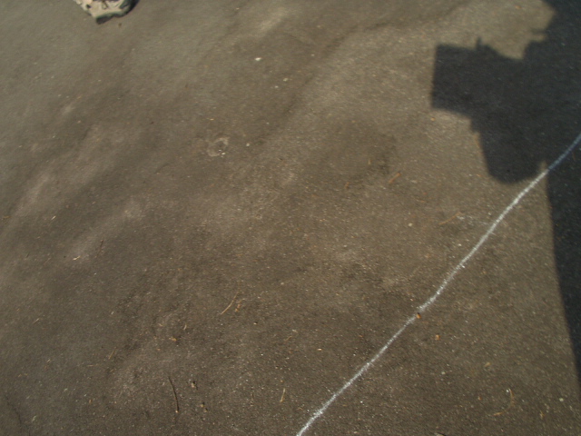 P1010041.JPG